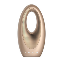 戴利普 (DERIPUS)N1