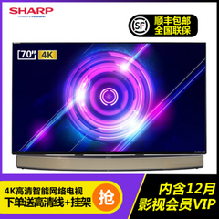 夏普 (SHARP)70英寸独立音响-85A