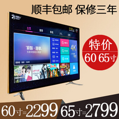 夏迅 (AJVXI)AJV-5516