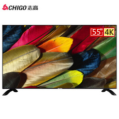 志高 (CHIGO)EWB-550W