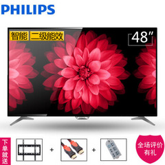 飞利浦48PFF5081/ T3