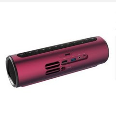 堅果P1 （低调紫）