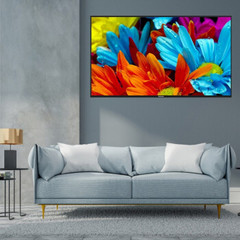 松下TH-49FX600C 49英寸4K HDR新款