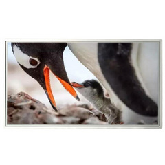 信特安XTA430TPH-A