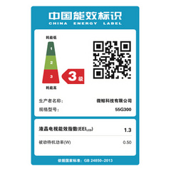 微鲸55G300