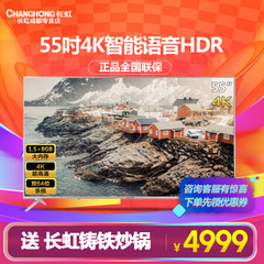 长虹 (CHANGHONG)55F8