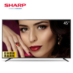 夏普 (SHARP)LCD-45TX4100A