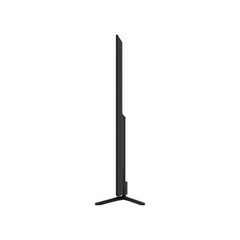 PPTVPPTV-65C2