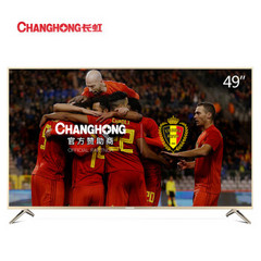 长虹 (CHANGHONG)49D2P CH5010439