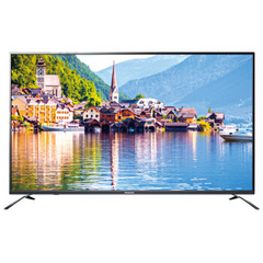 松下 (Panasonic)TH65DX880C