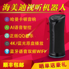 海美迪 (HIMEDIA)V3