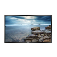 仙视 (Goodview)M65SA