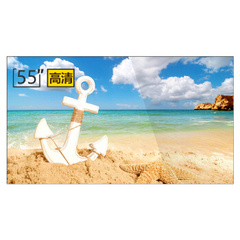 仙视 (Goodview)PD55NS