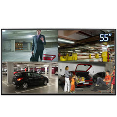 皓丽 (Horion)55B71