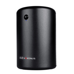 金正 (NINTAUS)D1000