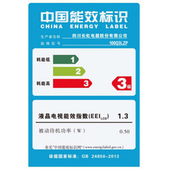 长虹100Q3LZP