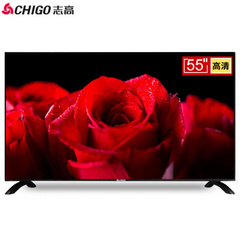 志高WB58TV-5500