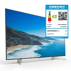 王牌天下65x8566F
