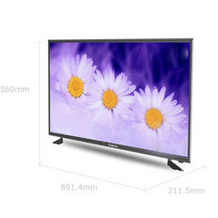 创佳39HAD5500 PL96