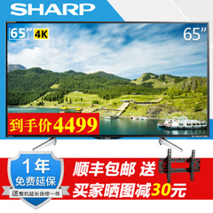 夏普 (SHARP)LCD- 65DS6000A