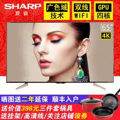 夏普 (SHARP)LCD-65MY63