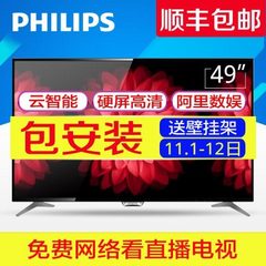 飞利浦49PFF5081/T3