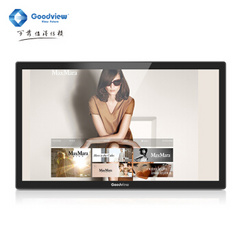 仙视 (Goodview)T32H1